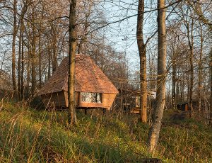 کابین Woodland
